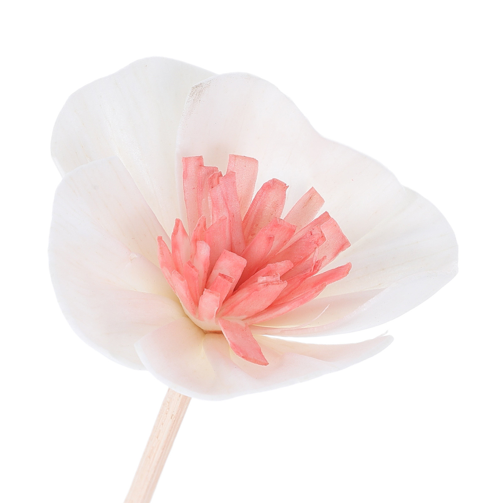 10本入り エッセンシャルオイルディフューザースティック ブ - Home Fragrance And Diffuser のレビューと価格