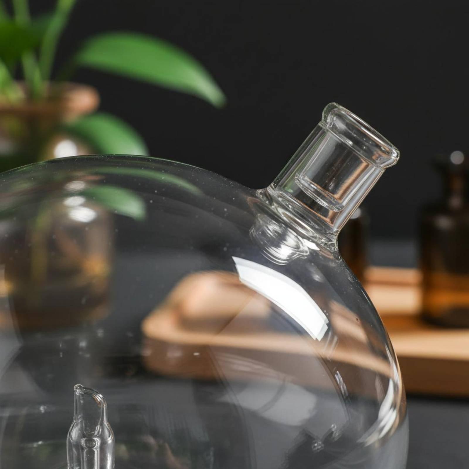 ディフューザーボトル ユニバーサルフィット ガラス交換用 ウ - Home Fragrance And Diffuser のレビューと価格